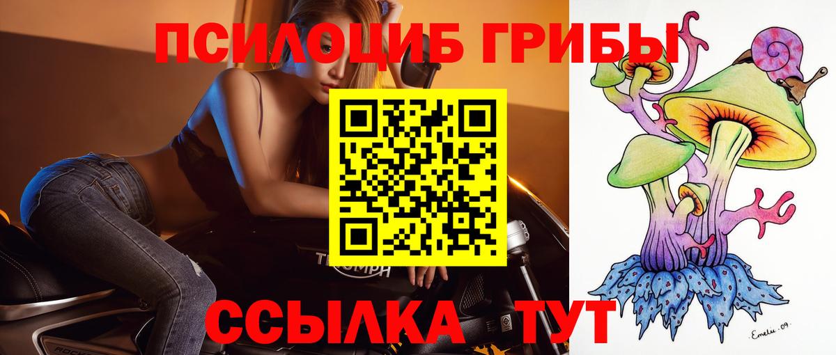 Галлюциногенные грибы Psilocybe Выкса